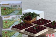 六夫皆妖高速赋能产业升级：一条“杨梅路”的致富密码